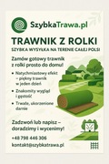 Trawa z rolki premium 