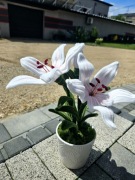 Bukiety, Doniczka ceramiczna Kwiaty idealne na prezent , druciki szenilowe