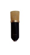 Profesjonalny mikrofon pojemnościowy BM-700