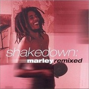 Bob Marley - Shakedown Marley Remixed