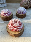 Zapachowa Świeca sojowa piwonia czerwona z drewnianą podstawką