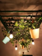 Nietypowe, autorskie oswietlenie