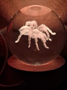 Lampka pająk kula Led