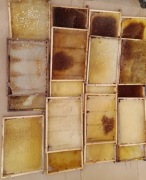 RAMKI WIELKOPOLSKIE I HOFFMANOWSKIE GNIAZDOWE Z SUSZEM  ODBUDOWANĄ WĘZĄ 