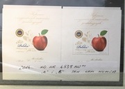 Fiszer nr 4539ND** Nowodruki A i B ten sam nr 