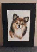 OBRAZEK - pies - rysunek kredkami