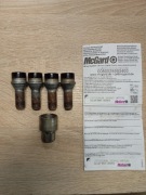 Śruby antykradzieżowe grupa vag 