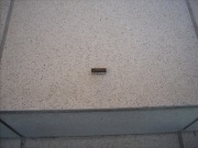 Układ scalony UAA170 = UL1970