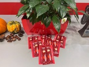 Top M/L, bluzka w grochy z łańcuchem i cyrkoniami