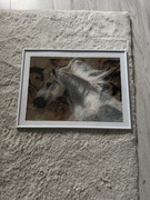 obraz haft diamentowy