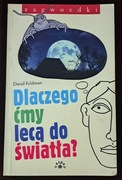 Dlaczego ćmy lecą do światła?