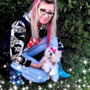 Maltańczyk koreańska suczka z rodowodem FCI  po wszystkich szczepieniach 