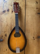 GUITAR COUNTRY MSA 8 STRUN 