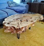 Stolik kawowy plaster klonu piękny do salonu, duży, masywny 