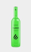 Suplement diety DuoLife chlorofil płyn 750 ml 1 sztuka