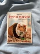 Świnki morskie żywienie pielęgnacja zdrowie
