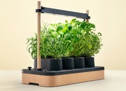 Auk Mini - Inteligentny Ogród + 5 rodzajów nasion GRATIS - OKAZJA