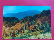 BIESZCZADY      -  Pocztówka  z  1973 r.  /  WIDOK