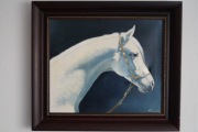 Obraz olejny  Koń arab