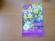 Katalog kwiatów roślin sadzonek Kwiatyllo.pl Jesień 2024 piękny ogród