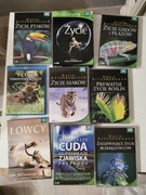 BBC Życie Ssaków Płazów Ptaków Dawid Atenborough 32 DVD