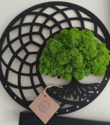 Drzewko chrobotek ze sklejki czarne