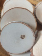 Plastry drewna brzozy krążki szlif śr ok  14-15 cm