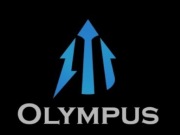 NosTale Olympus gold