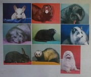 ZWIERZĘTA FUTERKOWE - ZESTAW 9 SZTUK - PRL