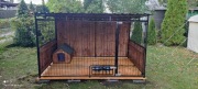 Klatki-boksy-kojce dla psiaków, pomieszczenie gosp