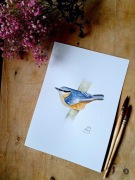 Kowalik, akwarela, oryginał (bez ramki)