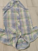 Body koszulowe cool Club 80