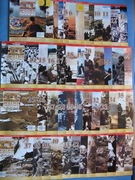 Encyklopedia II Wojny Światowej - numery 1 - 48, BDB