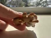 Littlest pet shop figurka pieska 