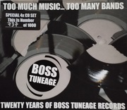 Various-Too Much Music..Too Many Bands:   4xCD  hardcore,, punk, post-punk