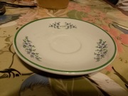 Talerzyki MSW lubiana 