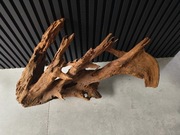 Korzeń MANGROWCA  mangrowy do akwarium terrarium Unikatowe duży wybór