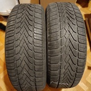 Opony zimowe Semperit