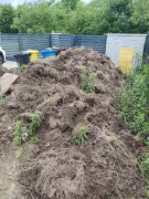 Oddam ziemię za darmo