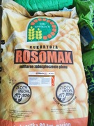 Rosomak kukurydza 