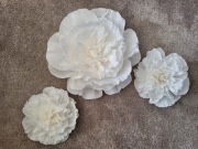 kwiaty xxl gigant krepina włoska hit dekoracyjny