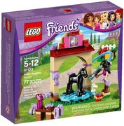 LEGO 41123 Friends - Kąpiel źrebaka