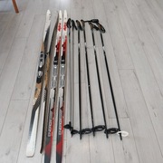 Narty biegowe x 2 Fischer, Alpina, kijki x 3 pary, pokrowiec.