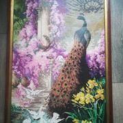 Obraz PAW haft krzyżykowy 77cmx50cm