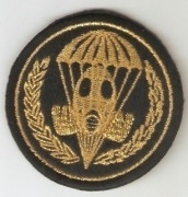 Naszywka kompanii przeciwchemicznej z 6 BPD.