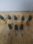 ZESTAW BITÓW BOSCH 24 szt + PRZEDŁUŻKA MAGNETYCZNA