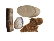 Zestaw dekoracyjny do formikarium mrówki (4)