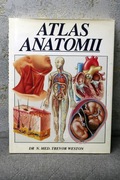 ATLAS ANATOMII dr. n. med. T. Westona