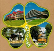 Wysowa mozaika sanatoria