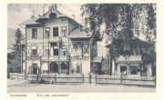 SZCZAWNICA- Wille pod Kraszewskim-Fot. Awit Szubert ca. 1915